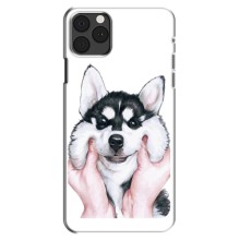 Чехол с Хаски для iPhone 12 Pro - (AlphaPrint) – Хаски улыбака