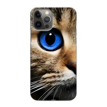 Чехлы с Котиками для iPhone 12 Pro (VPrint) (Глаз кота)