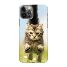 Чехлы с Котиками для iPhone 12 Pro (VPrint) (Прыжок кота)