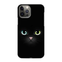 Чехол на тематику: Коты для iPhone 12 Pro (Черный Котик)