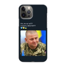 Чехол Украинские знаменитости для iPhone 12 Pro – Залужный