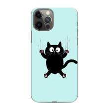 Силиконовый чехол с котиком для iPhone 12 Pro (Падающий кот)