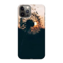 Силиконовый Чехол с одуванчиками на iPhone 12 Pro (Красивый одуванчик)