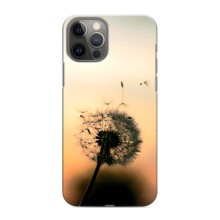 Силиконовый Чехол с одуванчиками на iPhone 12 Pro (Роздумаханый одуванчик)