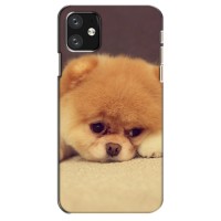 Чехол (ТПУ) Милые собачки для iPhone 12 (Померанский шпиц)