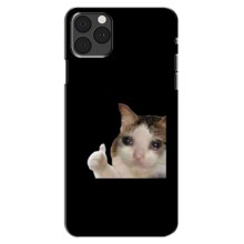 Бампер з принтом Меми для iPhone 13 Mini – Кіт у сльозах