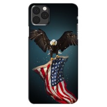 Чехол Флаг USA для iPhone 13 Mini (Орел и флаг)