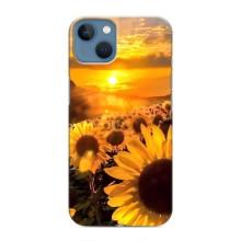 Чохол з Квітами для iPhone 13 Mini (поле соняшників)