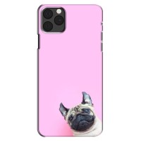 Бампер для iPhone 13 Mini с картинкой "Песики" (Собака на розовом)