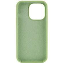 Чохол Silicone Case Full Protective (AA) NO LOGO для Apple iPhone 13 Pro Max (6.7") – М'ятний