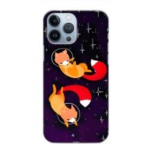 Чохли з картинкою Лисичка для iPhone 13 Pro Max (VPrint) (Лисички космонавти)