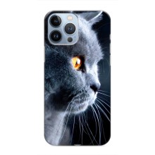 Чохли з Котиками для iPhone 13 Pro Max (VPrint) (Сірий Кіт)