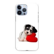 Чехлы с собаками для iPhone 13 Pro Max (VPrint) (Песик)