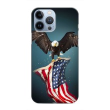 Чехол Флаг USA для iPhone 13 Pro Max (Орел и флаг)