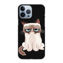 Чохол з принтом для iPhone 13 Pro Max (AlphaPrint) Модні коти (Сумний кіт)