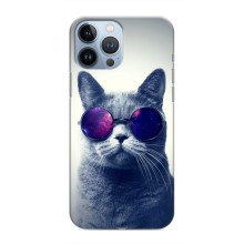 Чохол з принтом для iPhone 13 Pro Max (AlphaPrint) Модні коти (Стильний кіт)