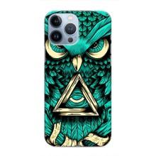 Чохол з пташками на iPhone 13 Pro Max (VPrint) (Сова з оком)