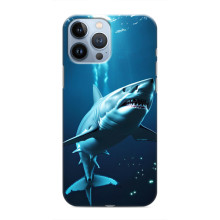 Чехол с картинкой «Хищники» для iPhone 13 Pro Max – Акула