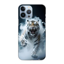 Чехол с картинкой «Хищники» для iPhone 13 Pro Max – Тигр