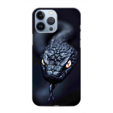 Чехол с картинкой «Хищники» для iPhone 13 Pro Max – Змея