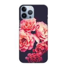Чехлы с тематикой "ЦВЕТЫ" на iPhone 13 Pro Max (Бутоны)