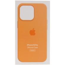 Чохол Silicone case (AAA) with Magsafe and Animation для Apple iPhone 13 Pro (6.1")