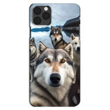 Чохол з Хаскі iPhone 13 Pro - (AlphaPrint) (Селфі Хаскі)