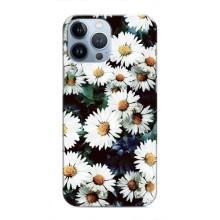 Чехол с картинкой (Стильные) для Айфон 13 Про - (AlphaPrint) – Ромашки