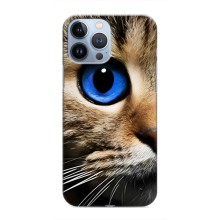 Чехлы с Котиками для iPhone 13 Pro (VPrint) (Глаз кота)