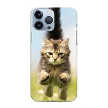 Чехлы с Котиками для iPhone 13 Pro (VPrint) (Прыжок кота)