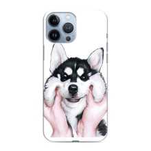 Чохли з собаками для iPhone 13 Pro (VPrint) (Радісний Хаскі)