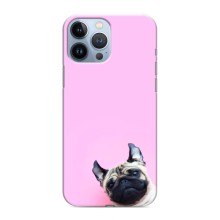 Чохли з собаками для iPhone 13 Pro (VPrint) (Смішна собака)