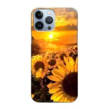 Чехол с Цветами для iPhone 13 Pro (поле подсолнухов)