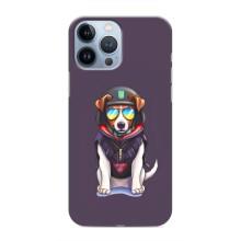 Чохол з принтом Песика Патрон для iPhone 13 Pro (Модний Патрон)