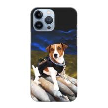 Чохол з принтом Песика Патрон для iPhone 13 Pro (Пес Патрон)