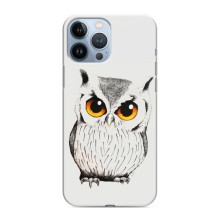 Чохол з пташками на iPhone 13 Pro (VPrint) (Мила Сова)
