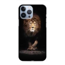 Чохол з картинкою ЛЕВ для iPhone 13 Pro (VPrint) (Лев)
