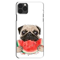 Чехол (ТПУ) Милые собачки для iPhone 13 Pro – Смешной Мопс