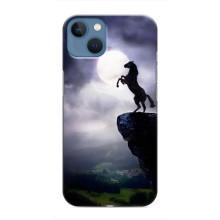 Чехлы с изображением разных животных для iPhone 13 (Лошадь)
