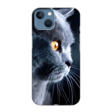 Чехлы с Котиками для iPhone 13 (VPrint) (Серый Кот)