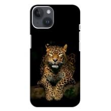 Чохли з зображенням різних тварин на iPhone 14 Plus (Стильний Леопард)