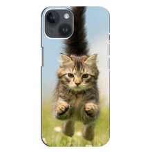 Чехлы с Котиками для iPhone 14 Plus (VPrint) (Прыжок кота)