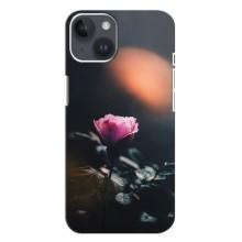 Чехлы с принтом Розочки для iPhone 14 Plus (Цветок ночной)