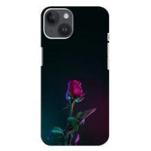 Чехлы с принтом Розочки для iPhone 14 Plus (Ночная роза)