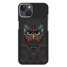Чехлы с принтом СОВЫ для iPhone 14 Plus (Сова на сером)