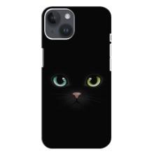 Чехол на тематику: Коты для iPhone 14 Plus (Черный Котик)