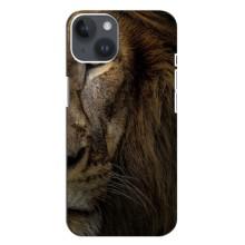 Чохол з картинкою на iPhone 14 Plus (Гарний Лев)