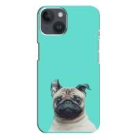Бампер для iPhone 14 Plus с картинкой "Песики" (Собака Мопс)