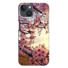 Чохол з картинкою Сакури на iPhone 14 Plus (Квітуча сакура)
