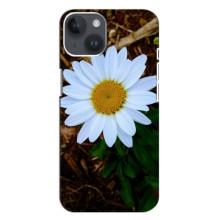 Чохол з ромашками на iPhone 14 Plus (Біла ромашка)
